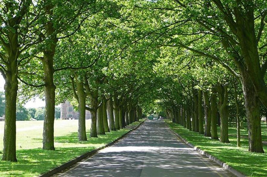 Elm Walk, Temple Newsam Park, Leeds. Image: Tim Green/Flickr