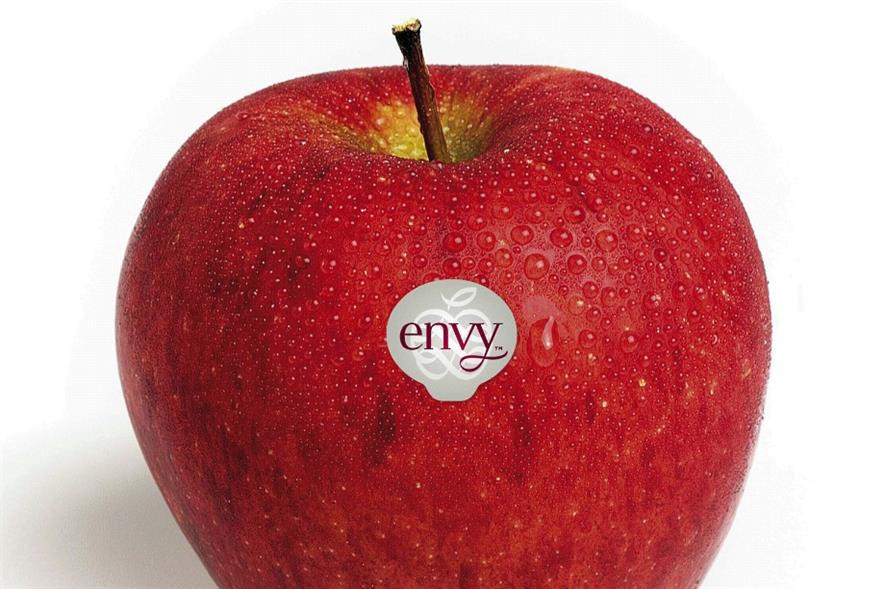 Image: Enza