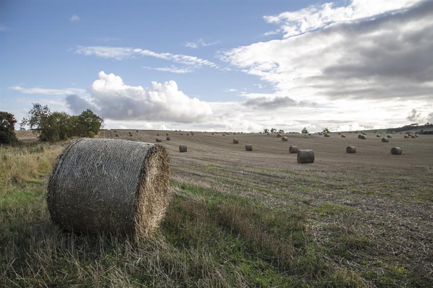 The NFU wants AHDB to put evidence and data at the heart of the five year strategy - credit: Pixabay