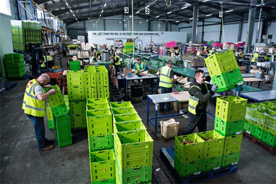 Flamingo Horticulture warehouse with crates being packed and sorted improves