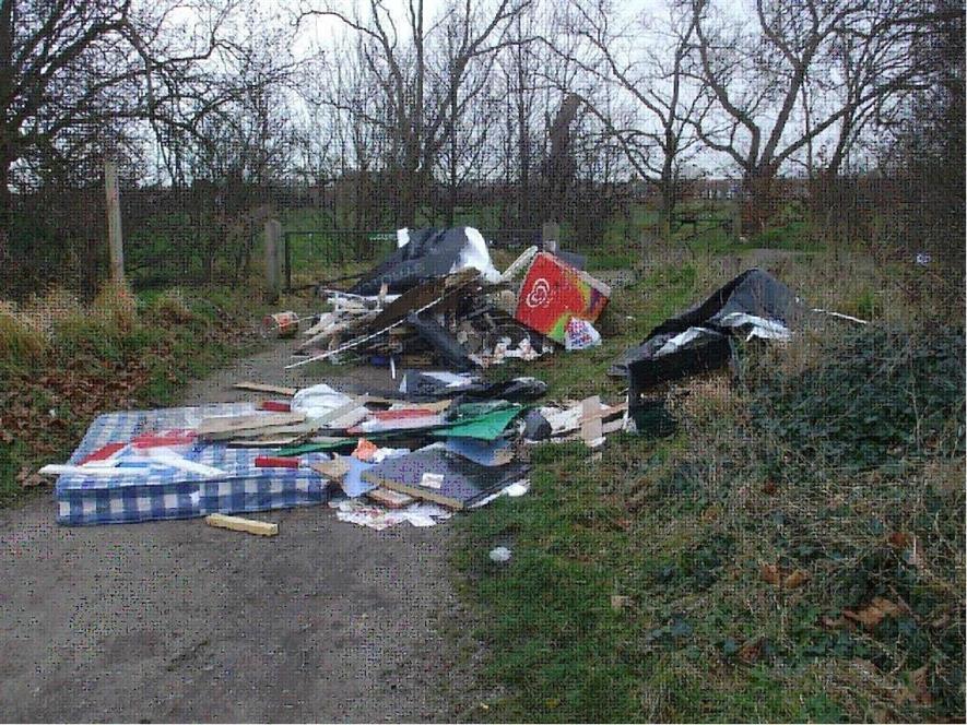 Some of the rubbish dumped on Wanstead Flats