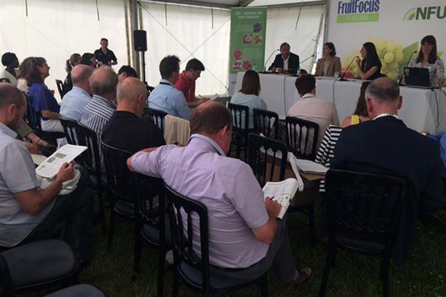 Latest NFU figures on labour shared at Fruit Focus event - Image HW