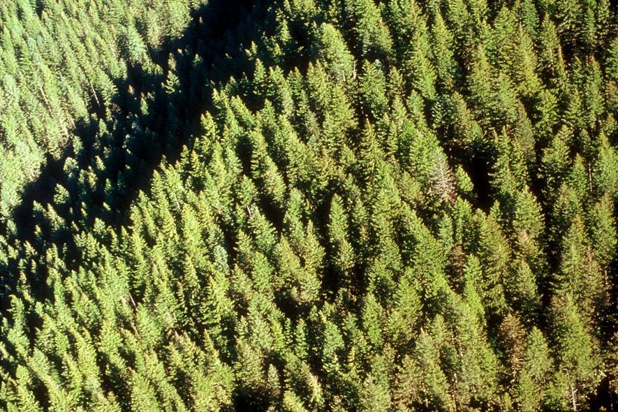 Image: US Forest Service