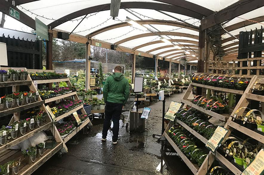 Garden centre sales hold up in January despite weather, lower footfall