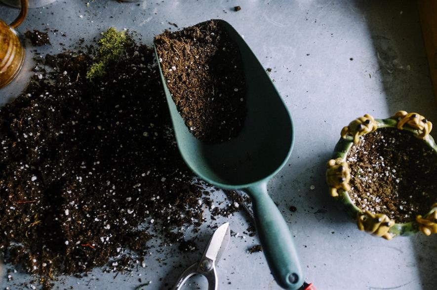 RHS received a record numbers of applications to its horticultural courses in 2020, with interest up 171% year-on-year - credit: Pixabay