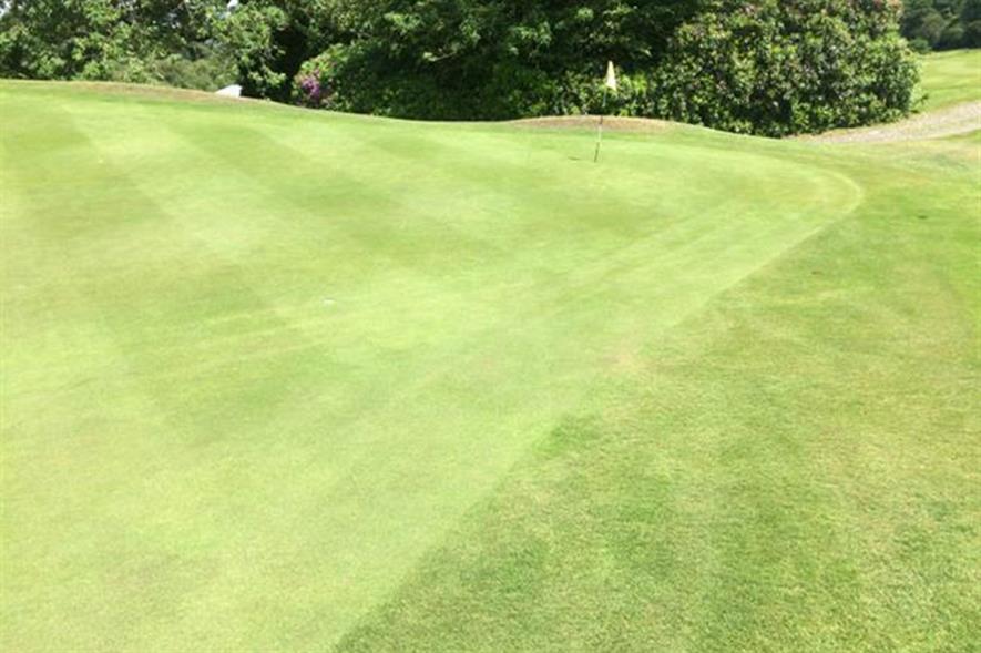 One of the trial greens after treatment. Image: Carbon Gold