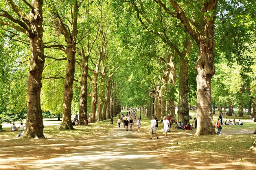 Green Park is one of eight sites managed by The Royal Parks, which received £975,000 in funding - credit: Pixabay