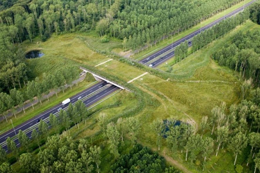 Groene Woud ecoduct in the Netherlands. Image: Rijkswaterstaat