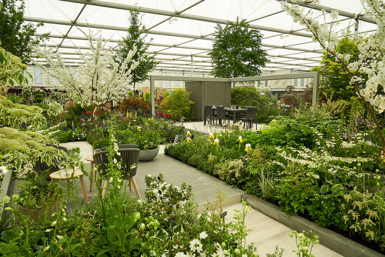 Hilleir Chelsea garden