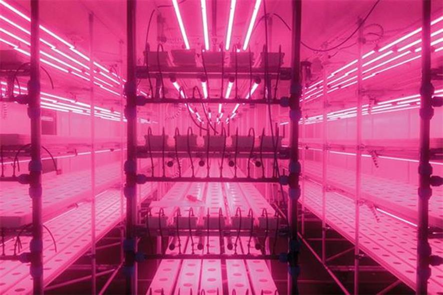 VydroFarm: with modular mobile racks and gully trays - image: HydroGarden