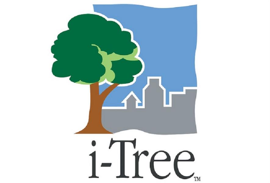i-Tree logo