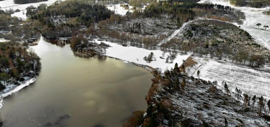 Aerial view of tree damaged caused by Storm Arwen on National Trust Scotland property