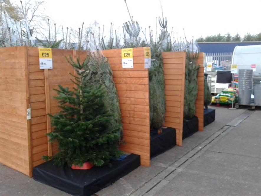 JTF Kidderminster £9.99 trees