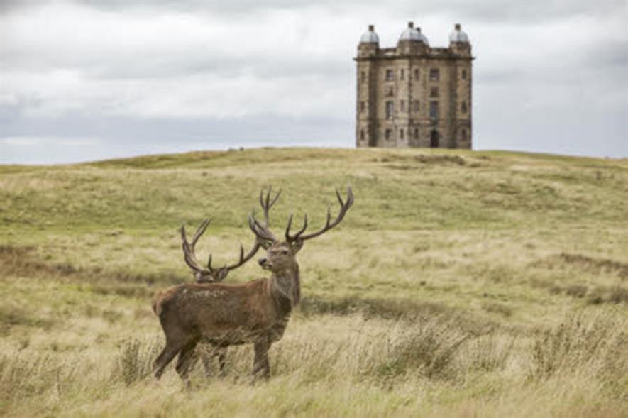 Deer in the grounds of Lyme Park, House and Garden, Cheshire.- credit: ©National Trust Images/Arnhel de Serra