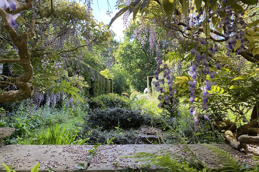 Image: National Gardens Scheme