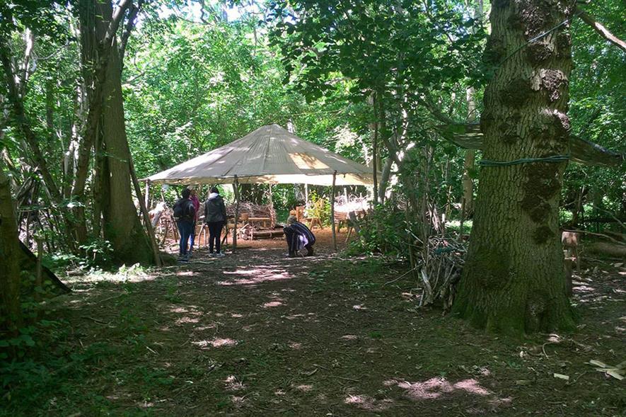 Woodland research tent conducted by Green Light Trust