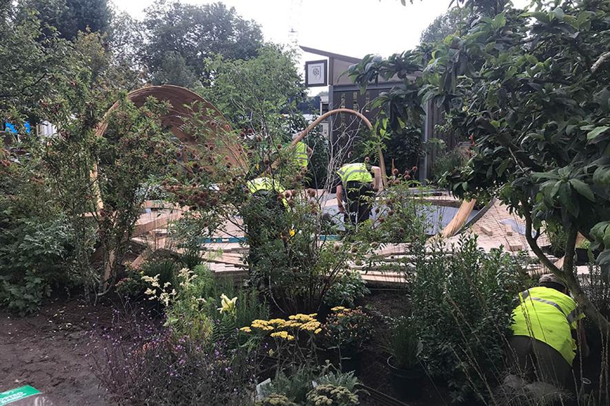 One Show garden