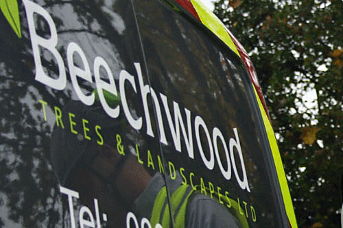 Beechwood: recruitment plans