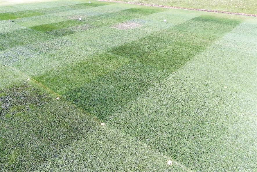 Rigby Taylor: company’s sports wear trial involves 24 grass seed mixtures and blends using a differential-slip wear machine - image: HW