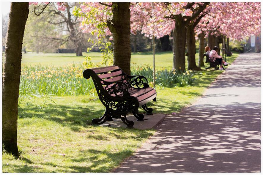 The losses ranged from £12,000 to £1.6m across the LGA case studies - credit: Pixabay