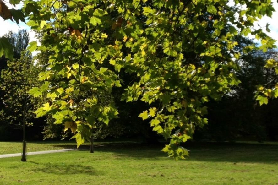 Will MPs recommend a new 'national network' for parks?