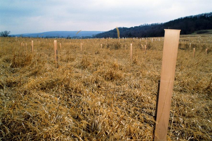 Image: WDNR (CC BY-ND 2.0)