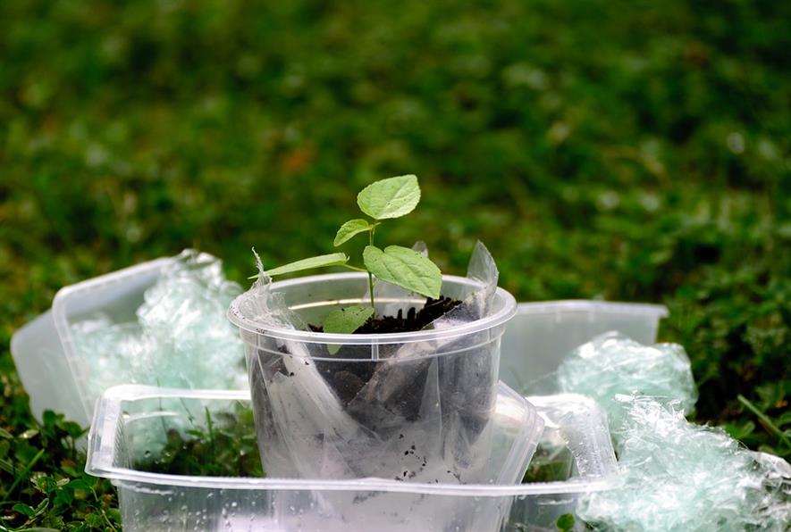 Plastic plant pot