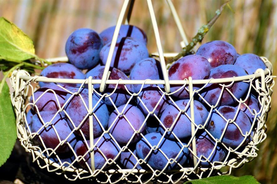 "Earliest ever" UK plums hit Waitrose shelves HortWeek