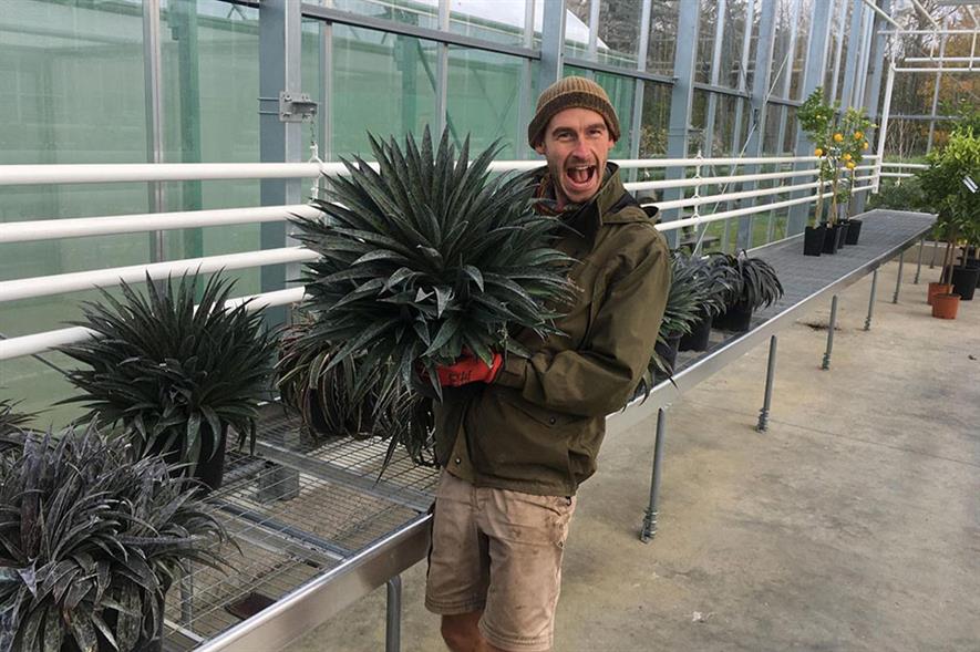 Mark Tuson of RHS Garden Wisley - credit: Wyevale Nurseries