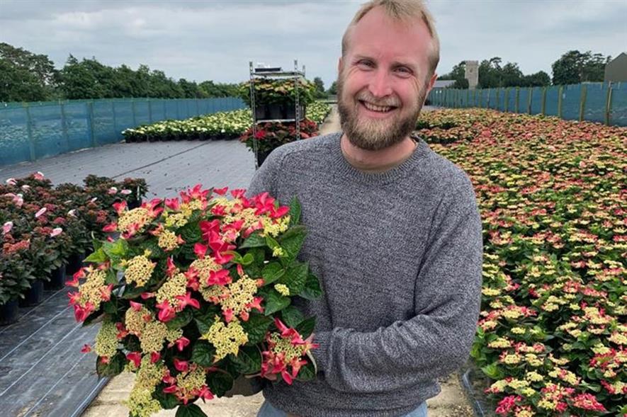 Richard Nuttall, crop protection manager, Viking Nurseries - credit: Viking Nurseries