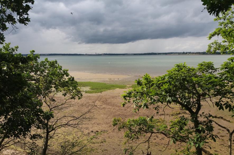 RSPB nature reserve, Stour Valley - credit: Suffolk County Council