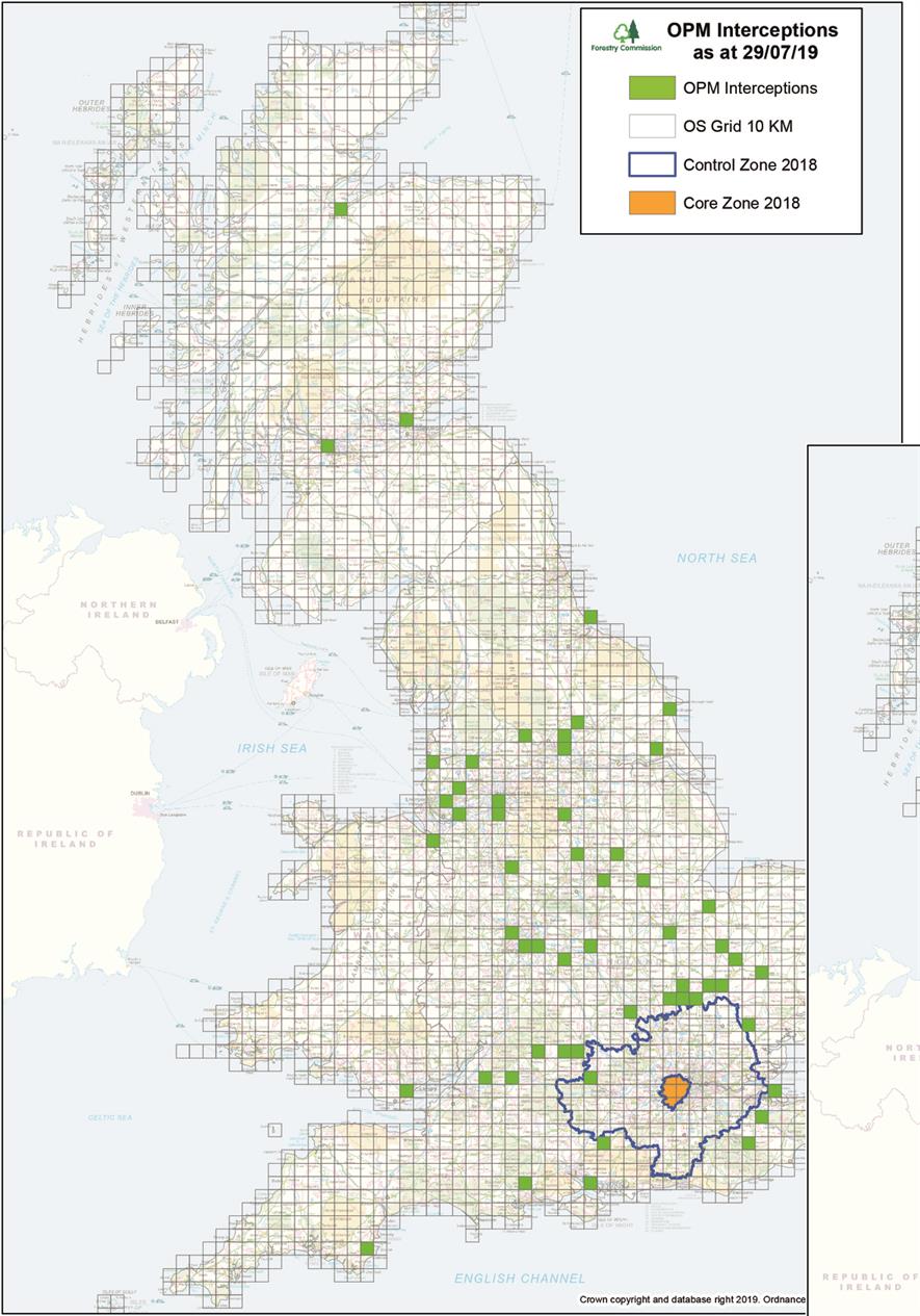 Oak processionary moth found at 60 UK protected zone locations outside ...