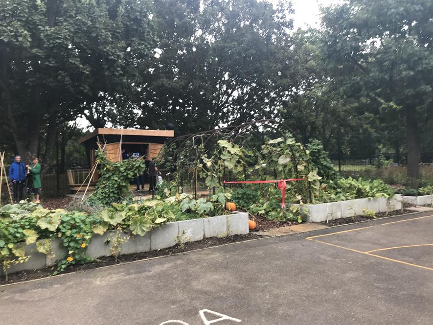 Cleve West-designed Battersea school garden