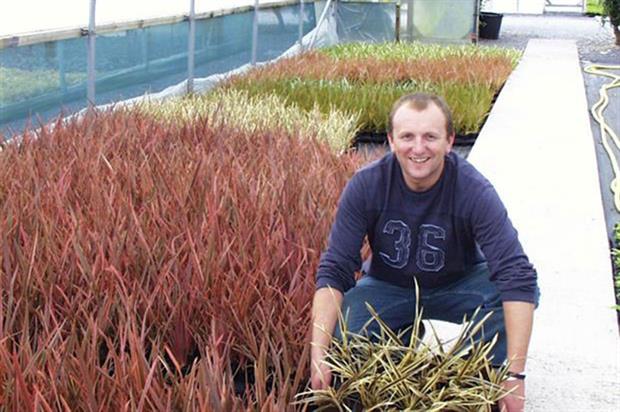 Neil Alcock's Seiont nursery was vandalised by intruders in July