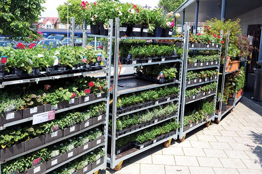 "Disappointing" sales of ornamental plants and flowers in supermarkets