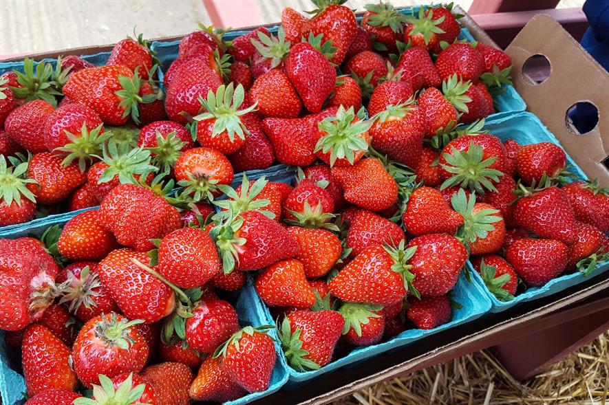 The GLAA regulates the provision of workers for roles in the UK fresh produce sector - credit: Pixabay