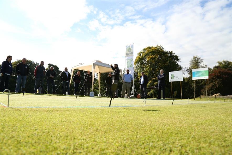 Bayer's STRI plot trial. Image: Supplied