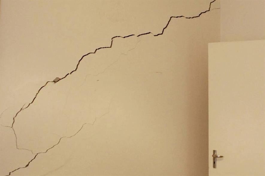 Treerelated subsidence is at root of council's biggest payouts