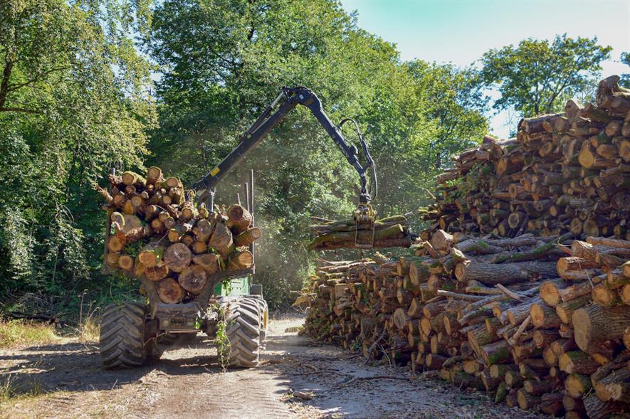 The apprenticeship schemes will provide a stepping stone into senior positions such as tree officers and forest managers - credit: Pixabay