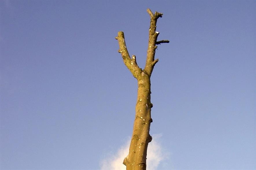 Image: Neil Owen (CC BY-SA 2.0)