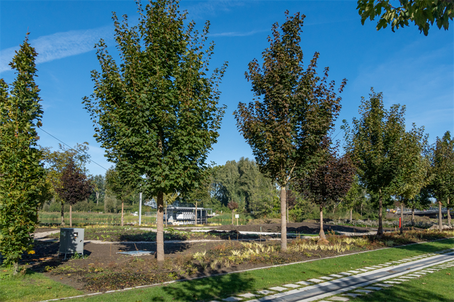 The Arboretum at Expo 2022 Floriade Amsterdam Almere