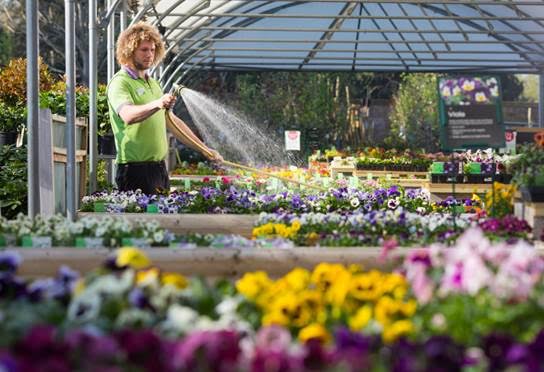 What Is The Biggest Garden Centre In The Uk - World S Biggest Spade At