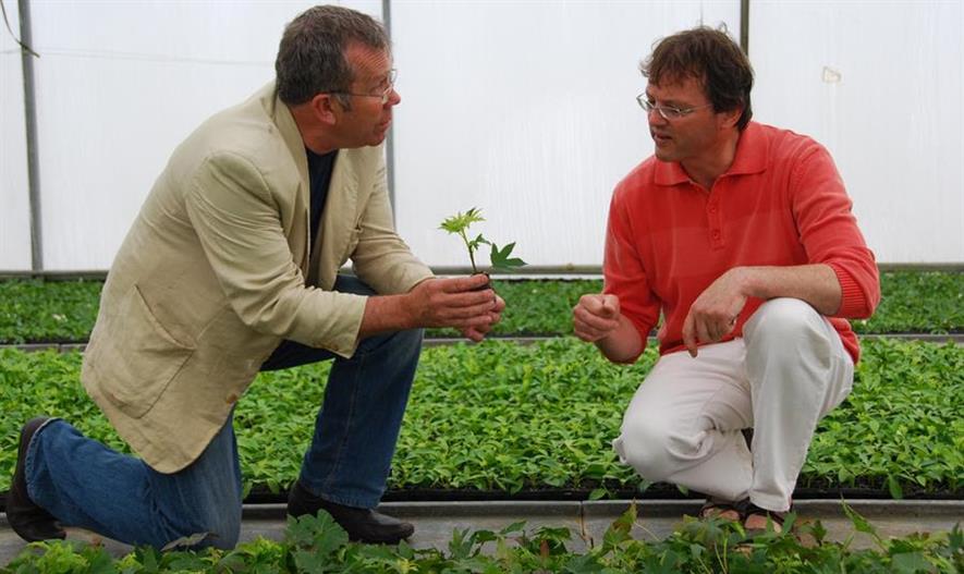 Stephen Slade (left) with a colleague in a polytunnel full of young plants