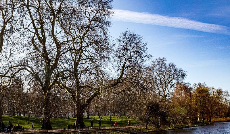 Parks for London