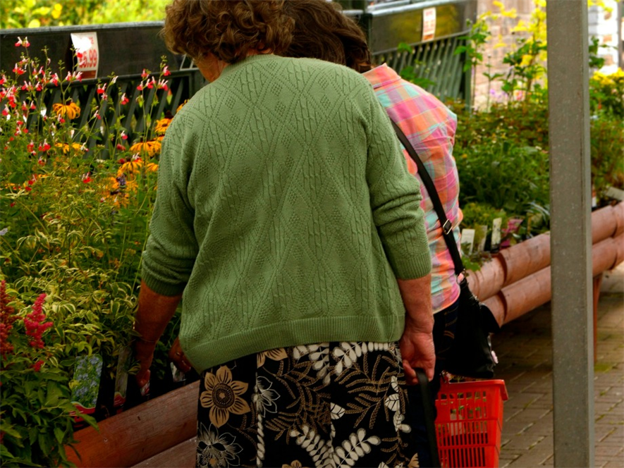 Garden retail sales in Europe up in first half of 2014 thanks to mowers