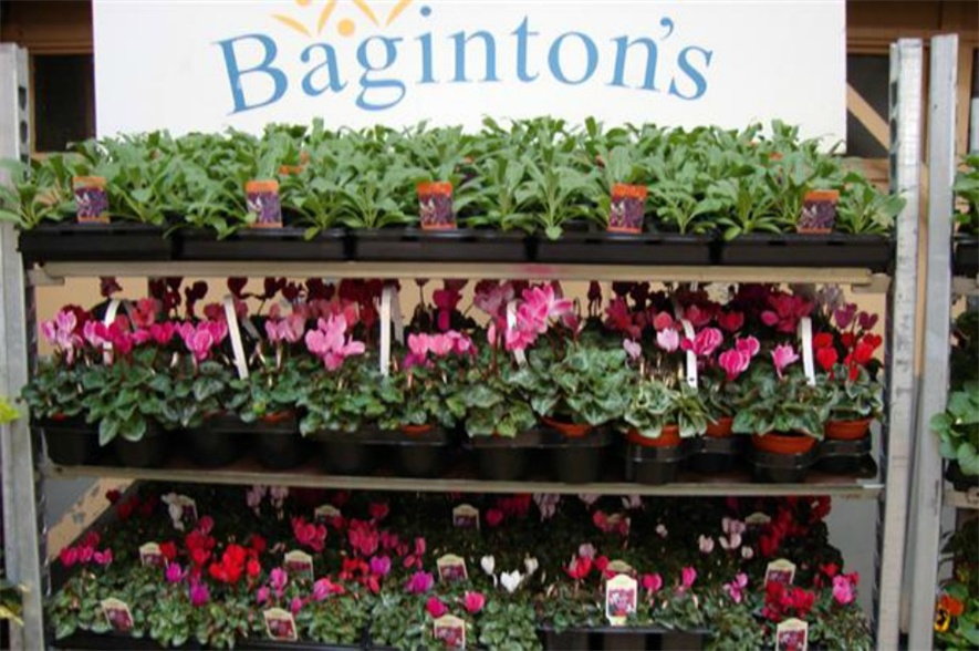 HDC bedding centre is at Baginton's