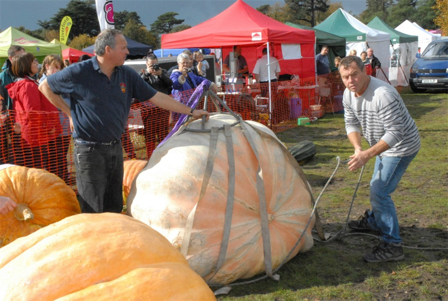 Pinetops Paton brothers with their pumpkin