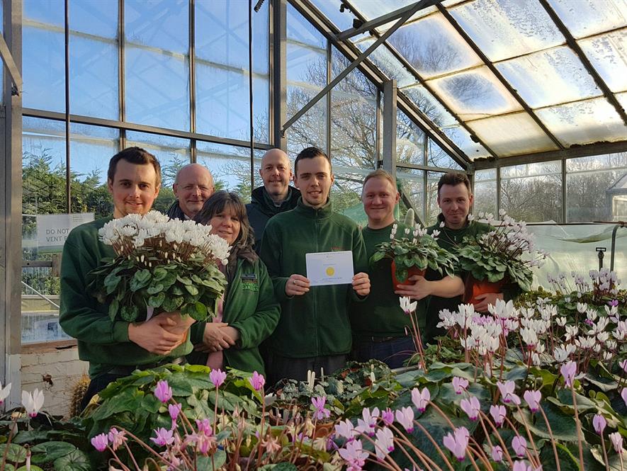Birmingham Botanical Gardens gardeners won gold for win gold for their National Collection of Cyclamen