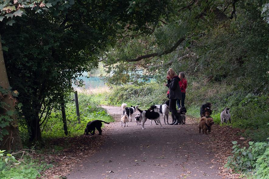 Dog walkers - credit: Flickr/Simon (CC by 2.0)