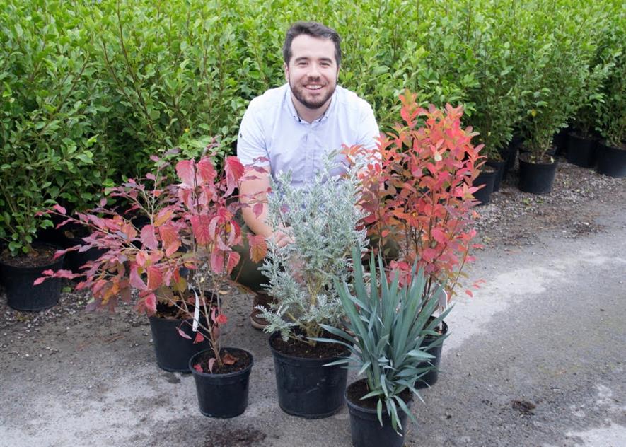 John Lawrence, Amenity and Landscape Sales Key Account Manager at Wyevale Nurseries, with (from left to right) Amelanchier ‘Rainbow Pillar’, Sycoparrotia ‘Purple Haze’, Viburnum dentatum ‘Blue Muffin’, Dianella ‘Blue Stream’ and Anthyllis Barba-jovis